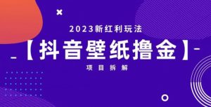 抖音壁纸小程序创作者撸金项目，2023新红利玩法【项目拆解】-小鸿资源库