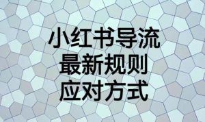 小红书导流最新规则应对方式【揭秘】-小鸿资源库