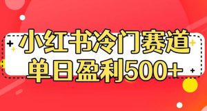 小红书冷门赛道，单日盈利500+【揭秘】-小鸿资源库