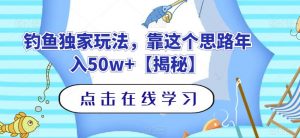 钓鱼独家玩法，靠这个思路年入50w+【揭秘】-小鸿资源库