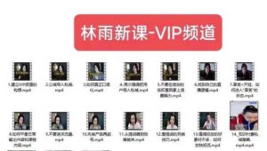 林雨新课VIP频道，玩赚私域/朋友圈/社群-小鸿资源库