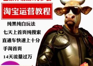猫老师·淘系算法逆向解密，​纯黑纯白玩法，七天上首页纯搜索，手淘首页14天流量过万-小鸿资源库