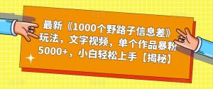最新《1000个野路子信息差》玩法，文字视频，单个作品暴粉5000+，小白轻松上手【揭秘】-小鸿资源库