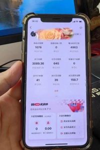 超级蓝海赛道保姆级教学，小红书无货源，无需实拍，如何做到日入1000+【揭秘】-小鸿资源库