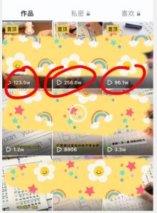 被忽视的冷门项目，随便写写字都能实现月入过万，每天半小时，适合0基础，手机可做【揭秘】-小鸿资源库