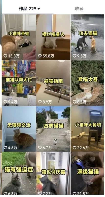 拆解：抖音盘点类中视频变现副业项目，视频版一条龙大解析分享给你-小鸿资源库