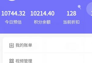 新手也能日入几百的冷门DIY项目，0基础全程实操【揭秘】-小鸿资源库