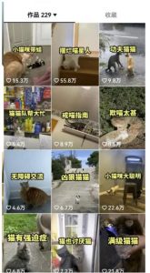 拆解抖音盘点类中视频变现副业项目，视频版一条龙大解析分享给你【视频课程】-小鸿资源库