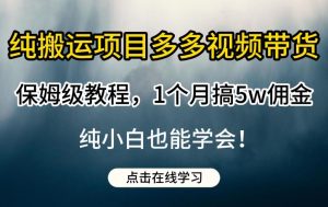 纯搬运项目多多视频带货保姆级教程，1个月搞5w佣金，纯小白也能学会【揭秘】-小鸿资源库