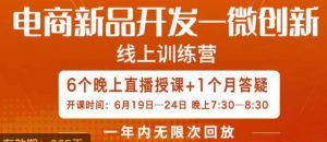 南掌柜·电商新品开发——微创新，电商新品微创新是你企业发展的护城河-小鸿资源库