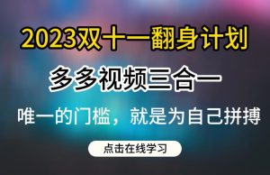 2023双十一翻身计划，多多视频带货三合一玩法教程【揭秘】-小鸿资源库