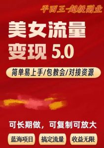 TK美女短视频变现项目无限复制（升级版），全网最高性价比项目【揭秘】-小鸿资源库