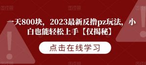 一天800块，2023最新反撸pz玩法，小白也能轻松上手【仅揭秘】-小鸿资源库