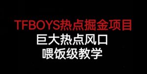 TFBOYS热点掘金项目，巨大热点风口，喂饭级教学-小鸿资源库