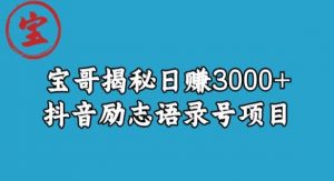 宝哥揭秘日赚3000+抖音励志语录号短视频变现项目-小鸿资源库