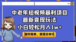 中老年短视频暴利项目最新变现玩法，小白轻松月入1w+【揭秘】-小鸿资源库