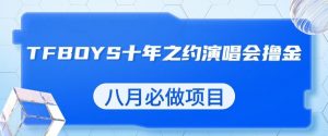 最新蓝海项目，靠最近非常火的TFBOYS十年之约演唱会流量掘金，八月必做的项目【揭秘】-小鸿资源库