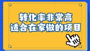小红书虚拟电商项目：从小白到精英（视频课程+交付手册）-小鸿资源库