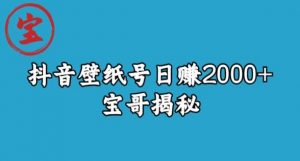 宝哥抖音壁纸号日赚2000+，不需要真人露脸就能操作【揭秘】-小鸿资源库