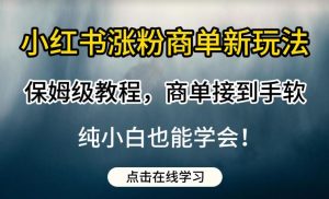 小红书涨粉商单新玩法，保姆级教程，商单接到手软，纯小白也能学会【揭秘】-小鸿资源库