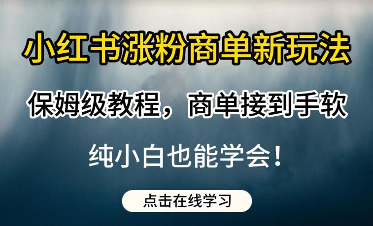 小红书涨粉商单新玩法，保姆级教程，商单接到手软，纯小白也能学会【揭秘】-小鸿资源库