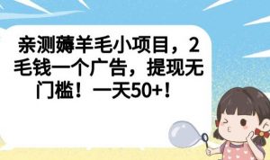 亲测薅羊毛小项目，2毛钱一个广告，提现无门槛！一天50+【揭秘】-小鸿资源库
