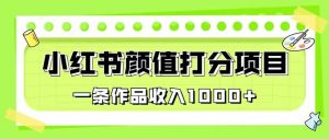 最新蓝海项目，小红书颜值打分项目，一条作品收入1000+【揭秘】-小鸿资源库