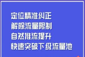 同城账号付费投放运营优化提升，​定位精准纠正，解除流量限制，自然推流提升，极速突破下级流量池-小鸿资源库
