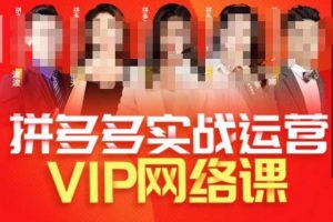 推易拼多多VIP全套直播课程，拼多多店铺实操玩法+实战玩法选款内功+直通车高阶等-小鸿资源库