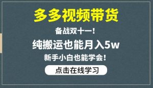 多多视频带货，备战双十一，纯搬运也能月入5w，新手小白也能学会-小鸿资源库
