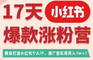 17天小红书爆款涨粉营（广告变现方向），教你打造小红书博主IP、接广告变现的-小鸿资源库