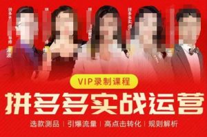 2023推易拼多多实战运营，选款测品、引爆流量、高点击转化、规则解析-小鸿资源库