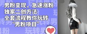 男粉变现，急速涨粉独家二创方法，全套流程教你玩转“男粉项目”【揭秘】-小鸿资源库