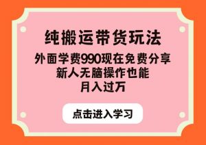 纯搬运带货玩法，外面学费990现在免费分享，新人无脑操作也能月入过万【揭秘】-小鸿资源库