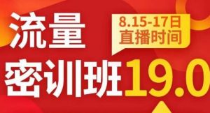 秋秋线上流量密训班19.0，打通流量关卡，线上也能实战流量破局-小鸿资源库