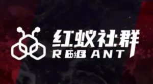 社群运营：红蚁社群【48节落地系统课程+2000人高端社群】-小鸿资源库