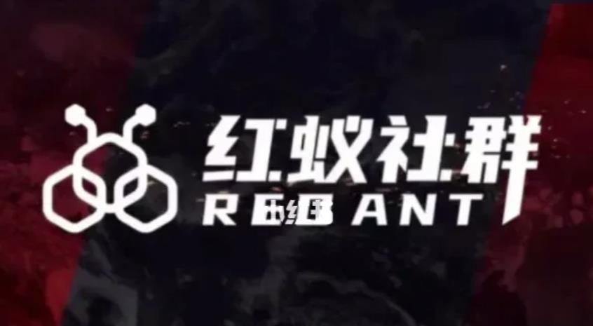 社群运营：红蚁社群【48节落地系统课程+2000人高端社群】-小鸿资源库