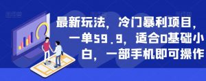最新玩法，冷门暴利项目，一单59.9，适合0基础小白，一部手机即可操作【揭秘】-小鸿资源库