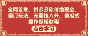 全网首发，拼多多砍价撸现金，偏门玩法，无需拉人头，傻瓜式操作保姆教程【揭秘】-小鸿资源库