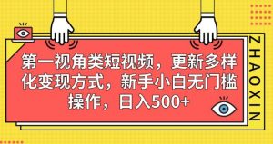 第一视角类短视频，更新多样化变现方式，新手小白无门槛操作，日入500+【揭秘】-小鸿资源库