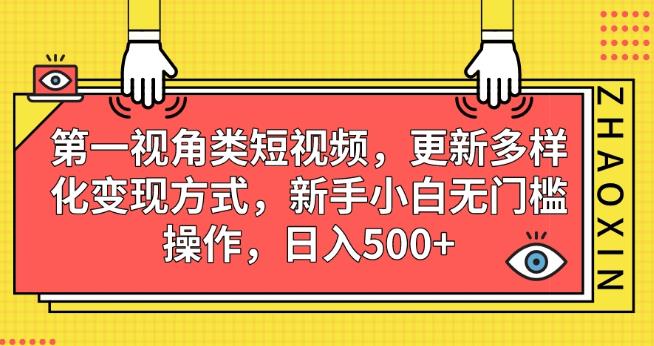 第一视角类短视频，更新多样化变现方式，新手小白无门槛操作，日入500+【揭秘】-小鸿资源库