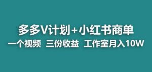 【蓝海项目】多多v计划+小红书商单一个视频三份收益工作室月入10w-小鸿资源库