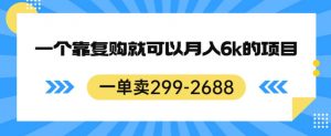 一单卖299-2688，一个靠复购就可以月入6k的暴利项目【揭秘】-小鸿资源库