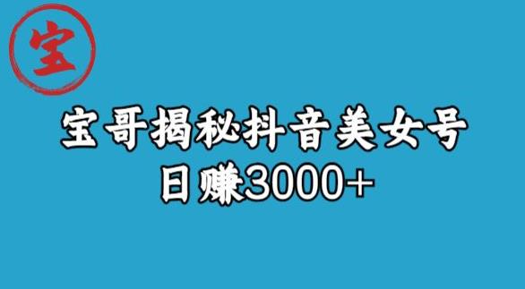 宝哥揭秘抖音美女号玩法，日赚3000+【揭秘】-小鸿资源库