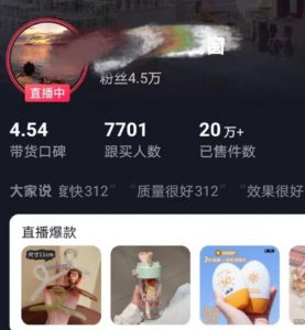 全新的蓝海赛道，抖音一元直播，不用囤货，不用出镜，照读话术也能20w+月销量【揭秘】-小鸿资源库