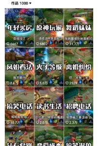 副业拆解：抖音王者荣耀游戏变现副业项目，视频版一条龙实操玩法分享给你-小鸿资源库