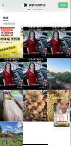 外面收费198的最新视频号连怼技术，条条原创，条条爆单【揭秘】-小鸿资源库