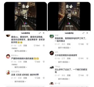 副业拆解：抖音杰伦音乐号涨粉变现项目，视频版一条龙实操玩法分享给你-小鸿资源库