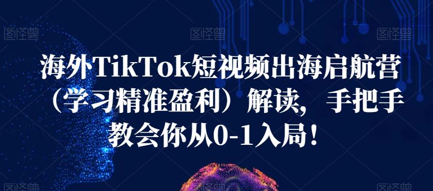 海外TikTok短视频出海启航营(学习精准盈利)解读,手把手教会你从0-1入局!-小鸿资源库