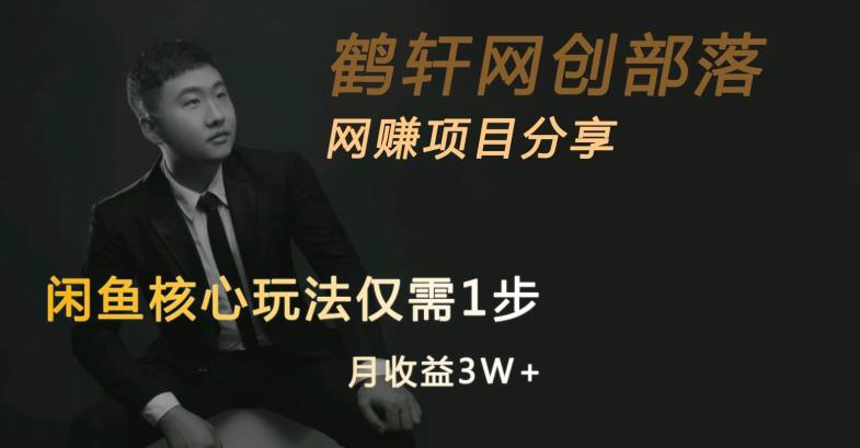 闲鱼核心玩法不卖货也能1年变现20W，玩法简单-小鸿资源库